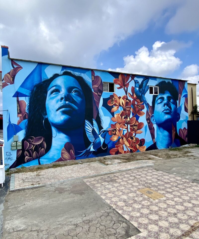 Mural Lo de aqui by Fio Silva and Sake Ink, San Nicolas, Aruba, 2025, seen along the wall.
