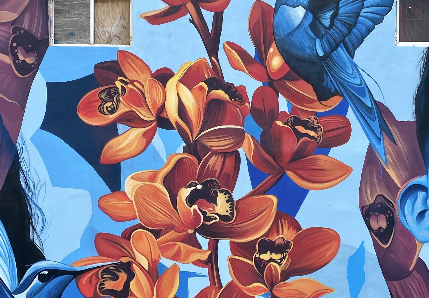 Detail of the mural Lo de aqui by Fio Silva and Sake Ink: orange flowers and two hummingbirds on blue.