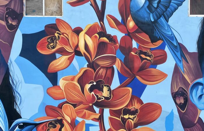 Detail of the mural Lo de aqui by Fio Silva and Sake Ink: orange flowers and two hummingbirds on blue.
