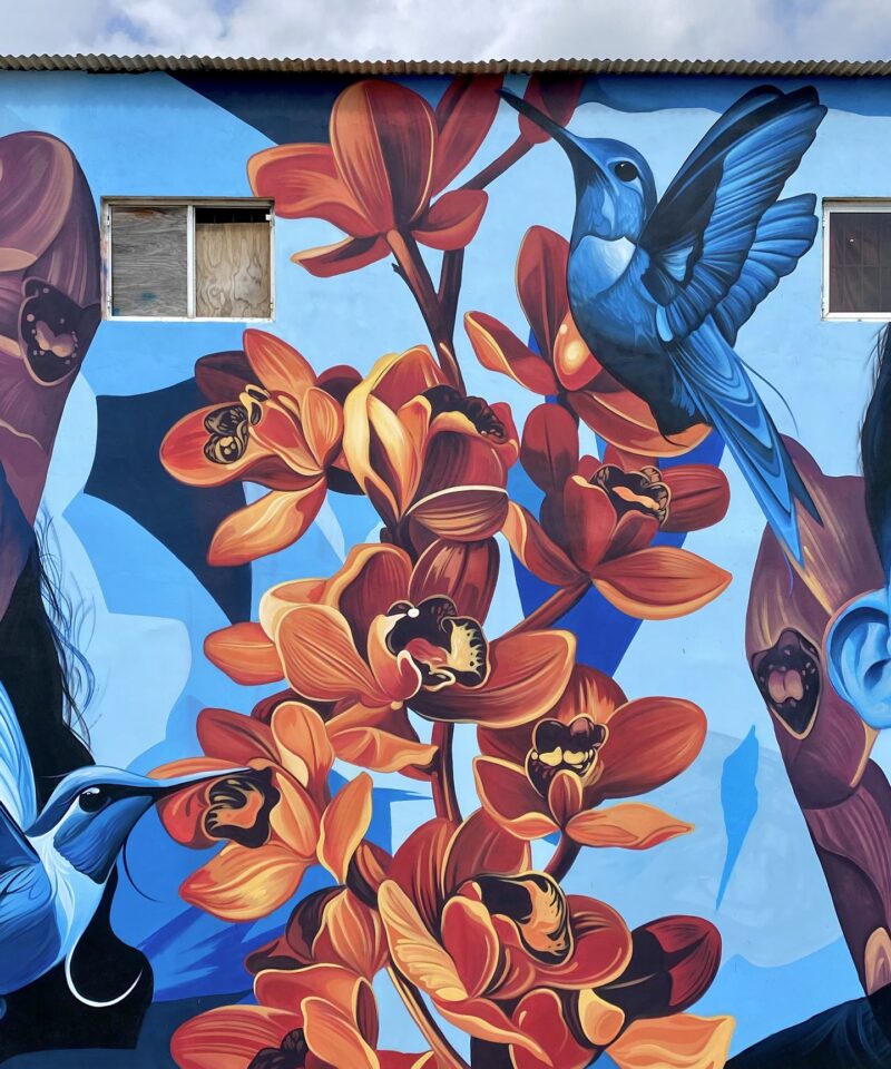Detail of the mural Lo de aqui by Fio Silva and Sake Ink: orange flowers and two hummingbirds on blue.