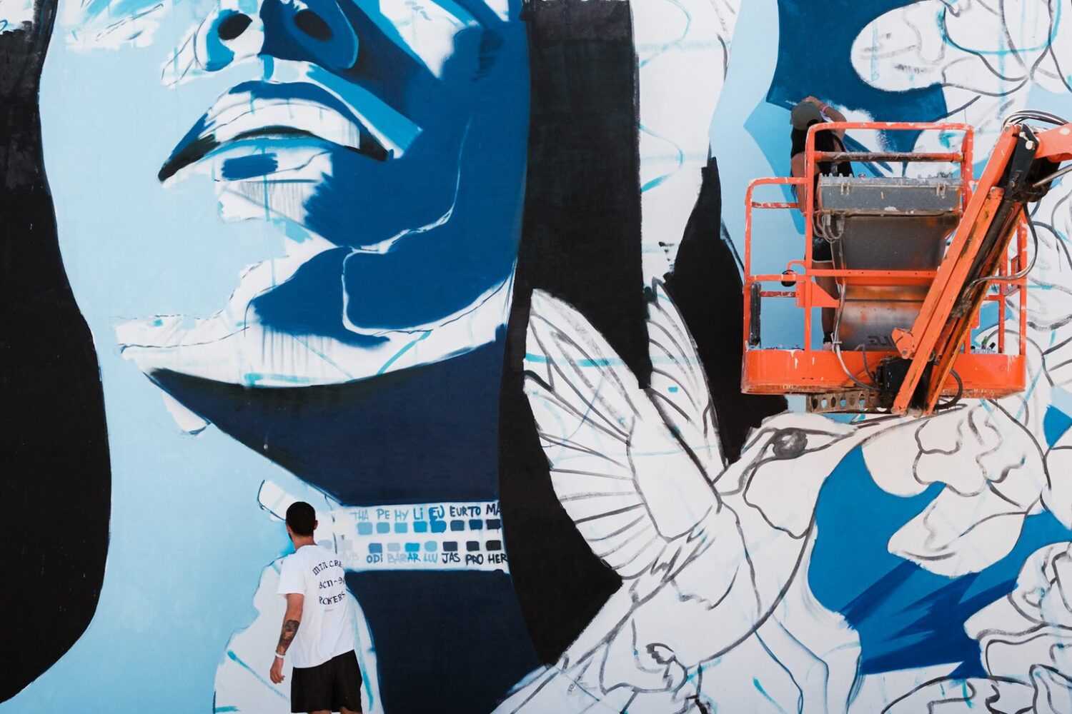 A large blue and white portrait mural with doves on a wall in San Nicolas, Aruba, 2025.