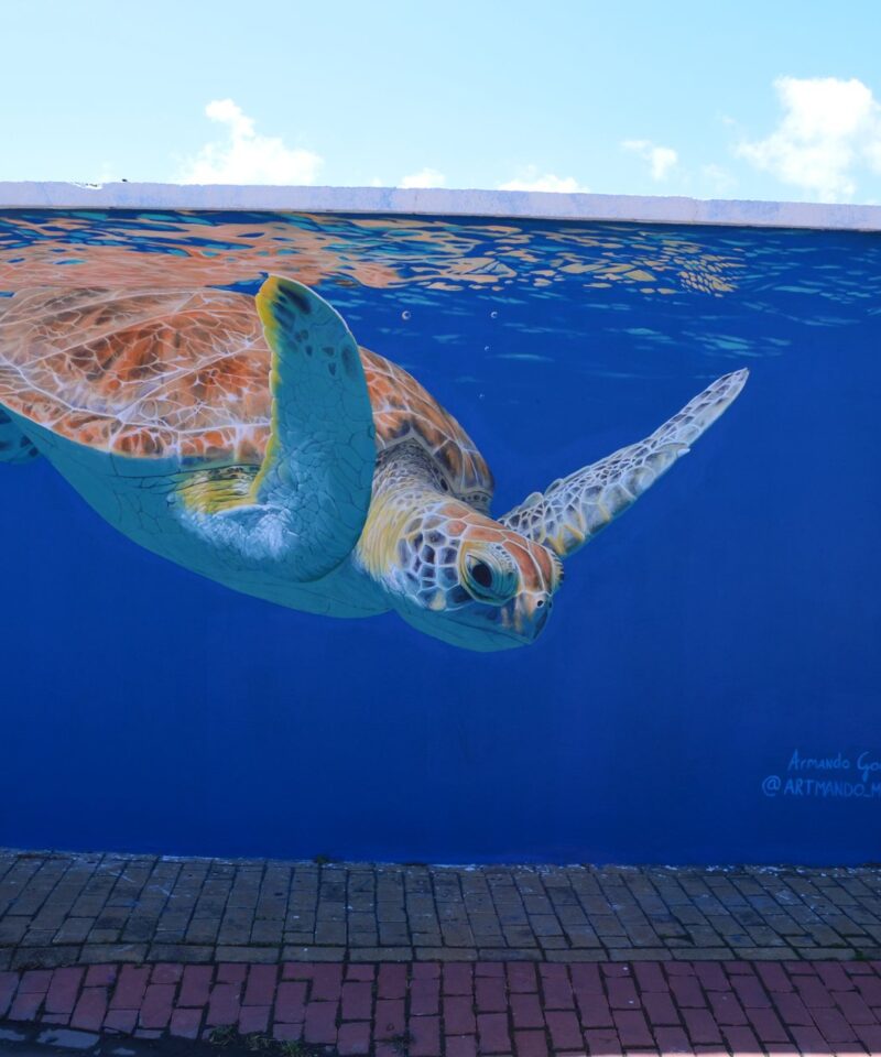 A green sea turtle painted swimming across a deep blue wall in San Nicolas, Aruba, 2024.